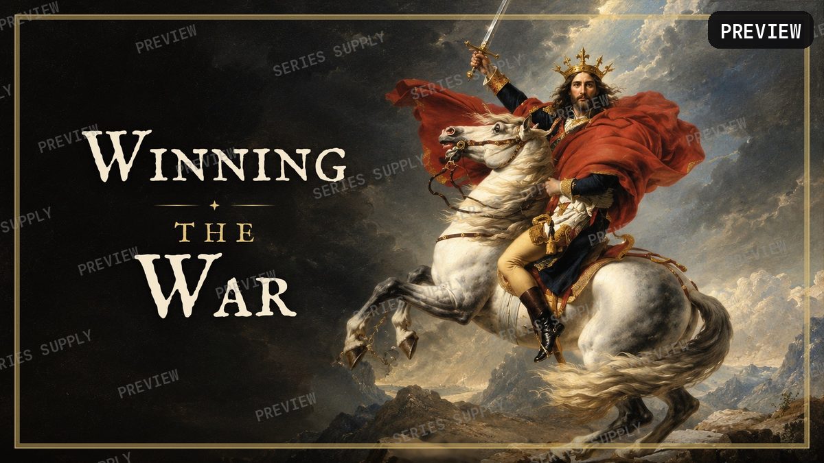 Winning the War Series artwork